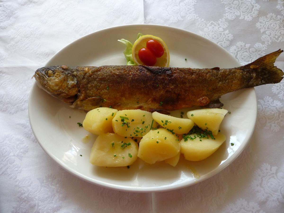 Gasthof Waldhof Dellach im Drautal 外观 照片